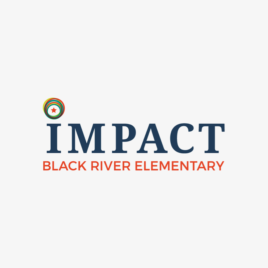 Impact Public Schools